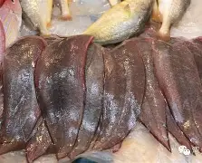 ??羐9矇[dF?M??9鮣}IM3?經q2d臤P?}4`iX?腢))9◎愘pP.1膭的简单介绍